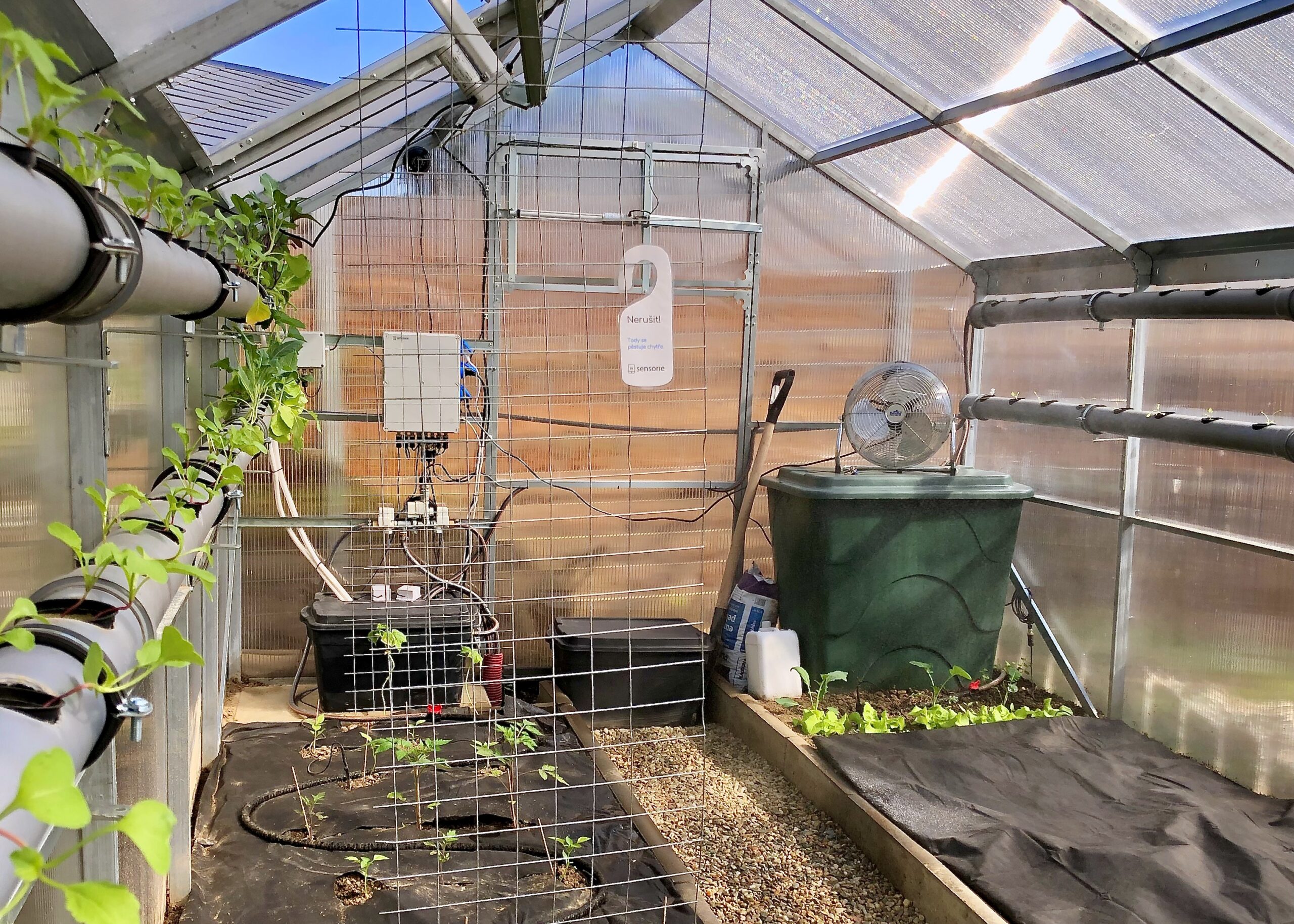 9 Ways Electroculture Gardening Supercharges Your Harvest In 2026 Without A Drop Of Chemicals