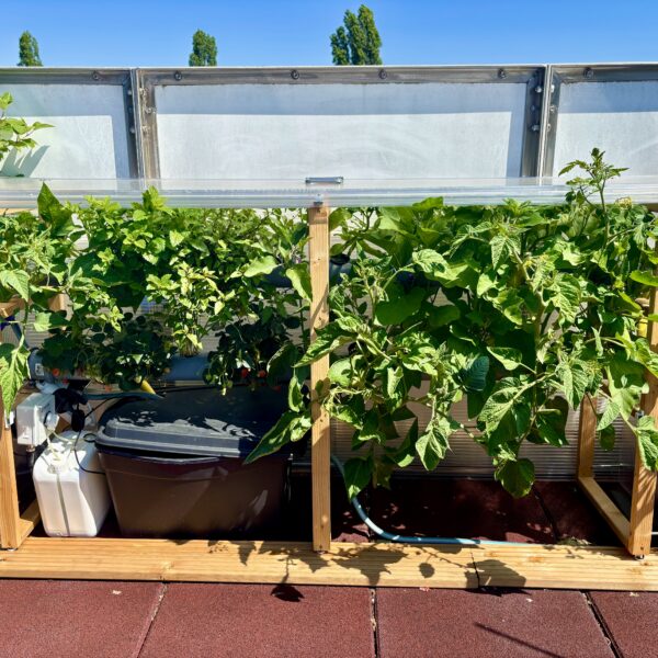 Hydroponická zahrádka