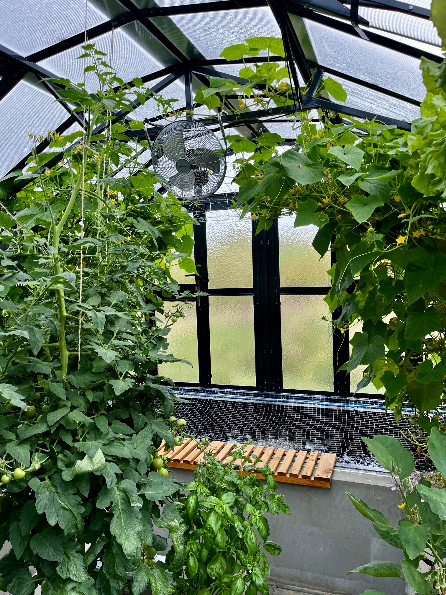 image6