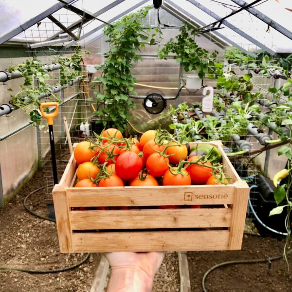 Jak připravit Chytrý skleník na zimní pěstování?